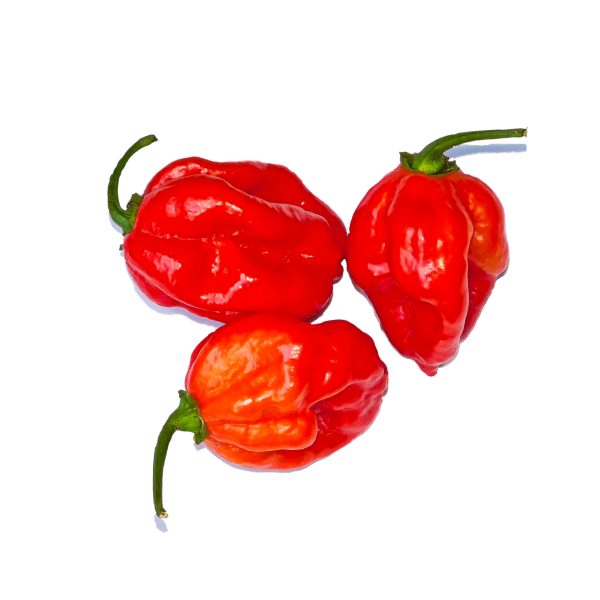 Habanero red