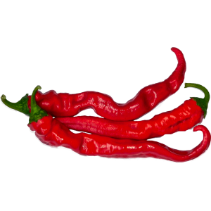 Hot Portugal