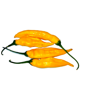 Aji Pineapple